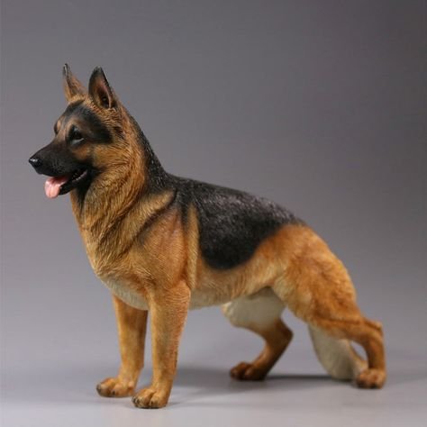 Miniature German Shepherd: A Complete Guide to This Small Yet Mighty Breed